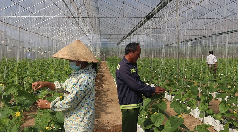 Chú trọng phát triển nông nghiệp thông minh Chú trọng phát triển nông nghiệp thông minh