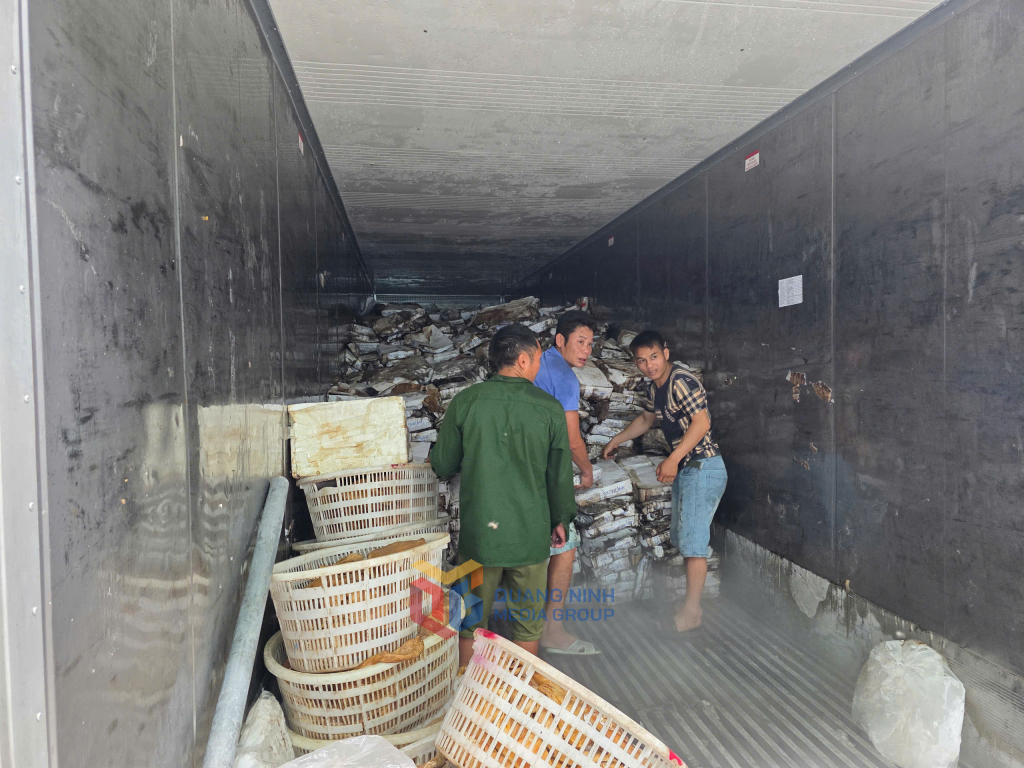 Thu giữ hơn 25 tấn thực phẩm đông lạnh đang bốc mùi, không rõ nguồn gốc tại Móng Cái