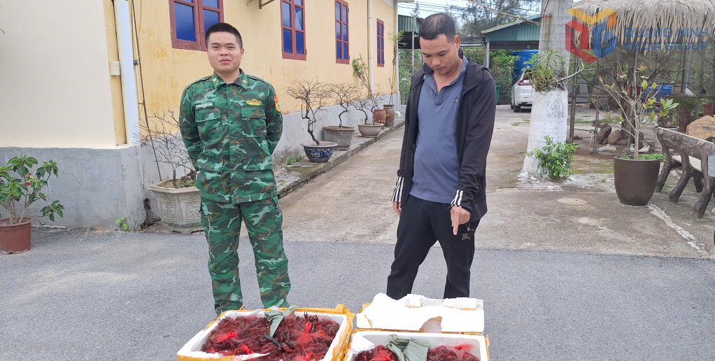 Đồn Biên phòng Trà Cổ: Bắt giữ đối tượng vận chuyển trái phép 80kg tôm hùm đất
