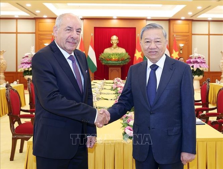 Tổng Bí thư Tô Lâm và Tổng thống Hungary Sulyok Tamás. Ảnh TTXVN.