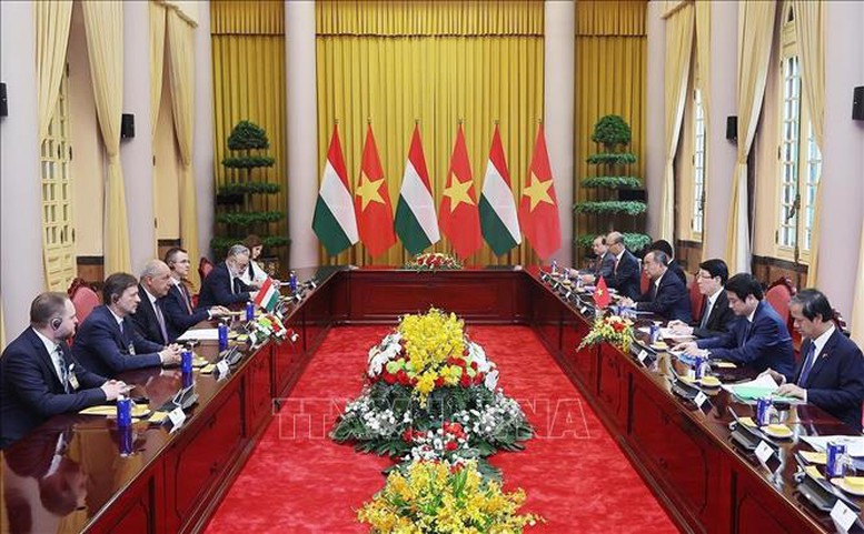 Chủ tịch nước Lương Cường hội đàm với Tổng thống Sulyok Tamás. Ảnh: TTXVN