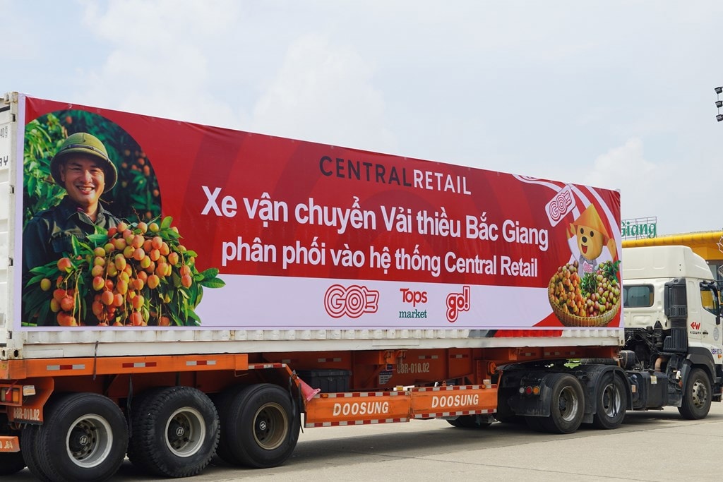 Central Retail sẽ đưa vải thiều Lục Ngạn vào hệ thống phân phối trên toàn quốc