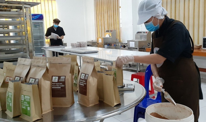 Quy định mới của EU sẽ tác động mạnh đến ngành ca cao