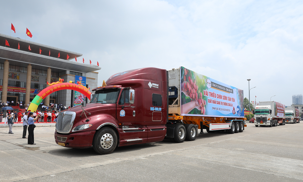 Đoàn xe xuất hành đưa vải thiều đi tiêu thụ.