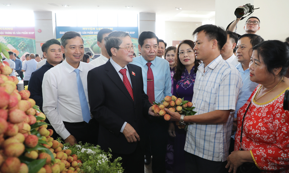 Đồng chí Nguyễn Đức Hải cùng các đại biểu thăm gian hàng trưng bày vải thiều và nông sản của huyện Tân Yên.