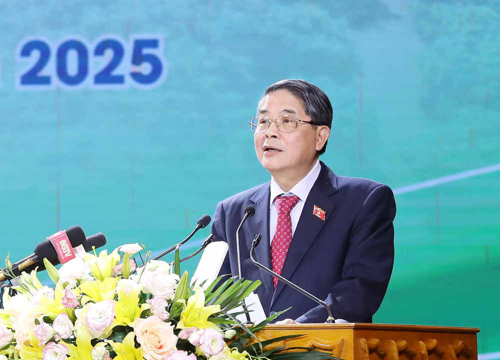 Phó Chủ tịch Quốc hội Nguyễn Đức Hải phát biểu chỉ đạo tại hội nghị.