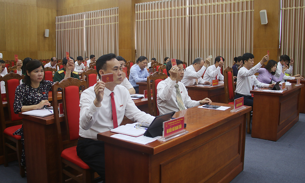 Các đại biểu biểu quyết thông qua các nghị quyết.