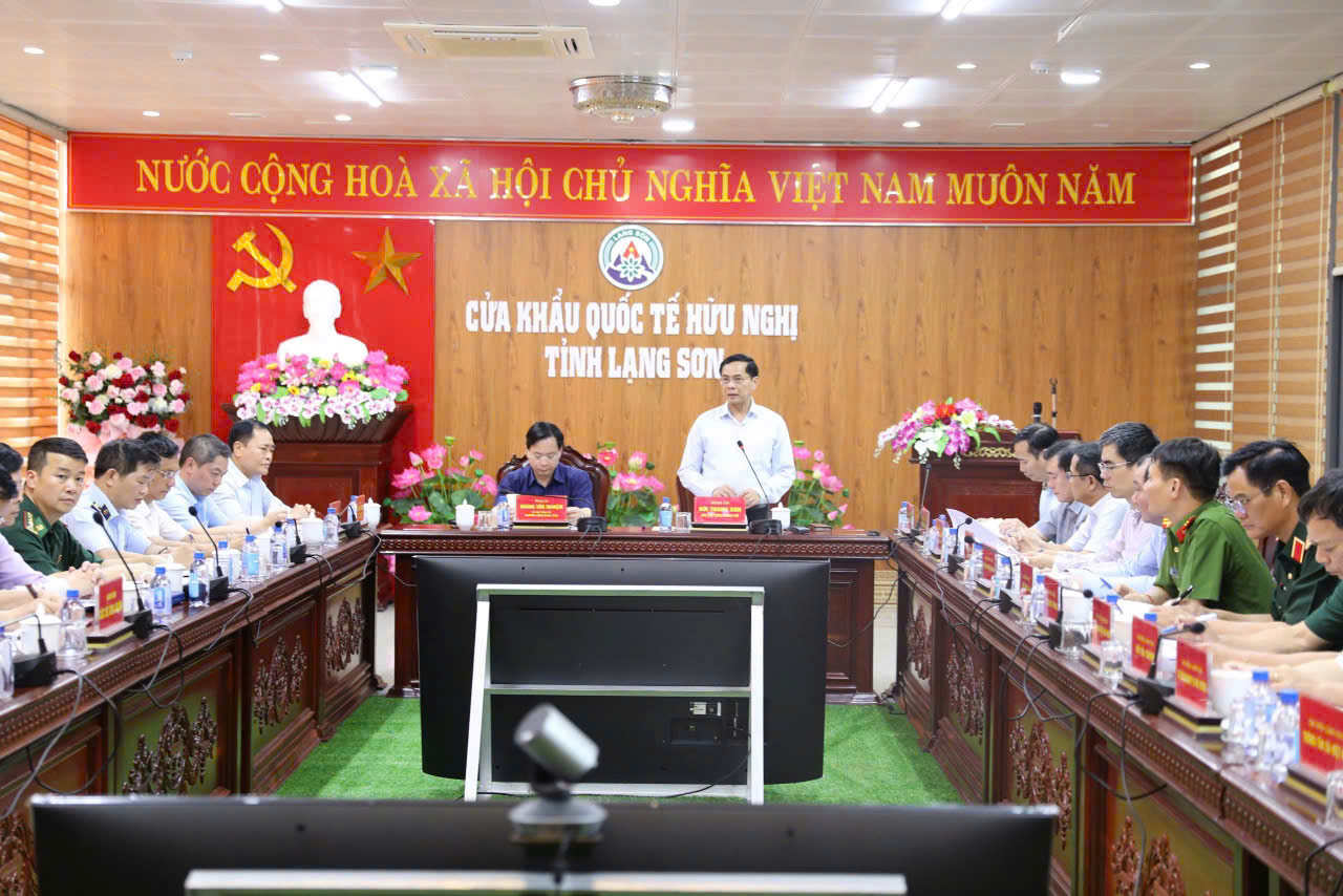 Phó Thủ tướng Chính phủ Bùi Thanh Sơn phát biểu chỉ đạo tại buổi làm việc