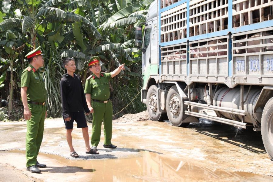 Lực lượng công an tiến hành kiểm tra xe tải chở 18 tấn lợn có dấu hiệu nghi vấn.