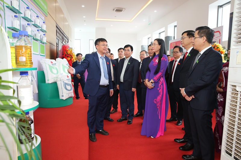 Đại biểu tỉnh Quảng Ngãi, Petrovietnam tham quan khu triển lãm ảnh, trưng bày sản phẩm của NMLD Dung Quất