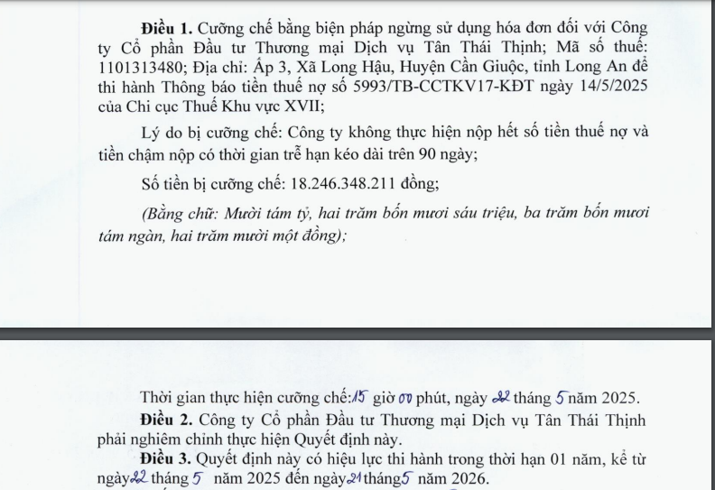 Nợ thuế hơn 18 tỷ đồng, chủ đầu tư dự án Elite Life Cần Giuộc bị cưỡng chế ngừng sử dụng hóa đơn