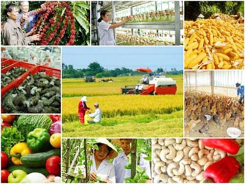 Ảnh minh họa, nguồn internet. Ảnh minh họa, nguồn internet.