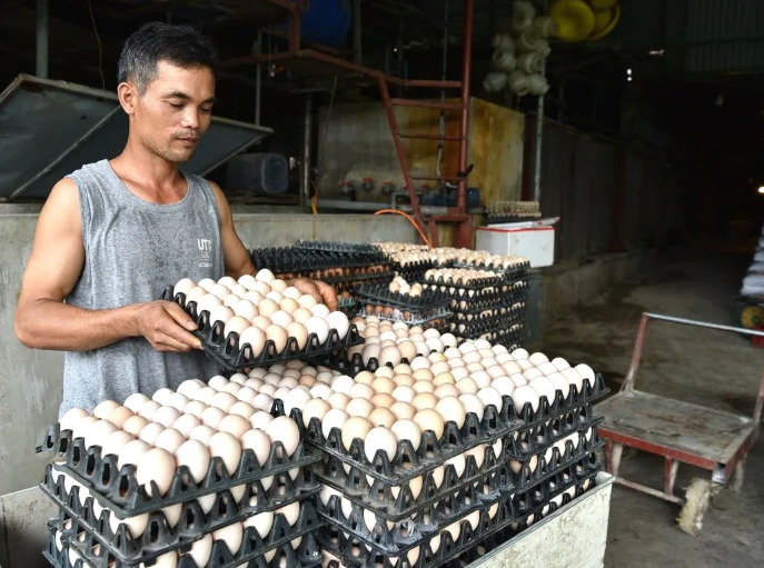 Ảnh: Bình Minh Ảnh: Bình Minh