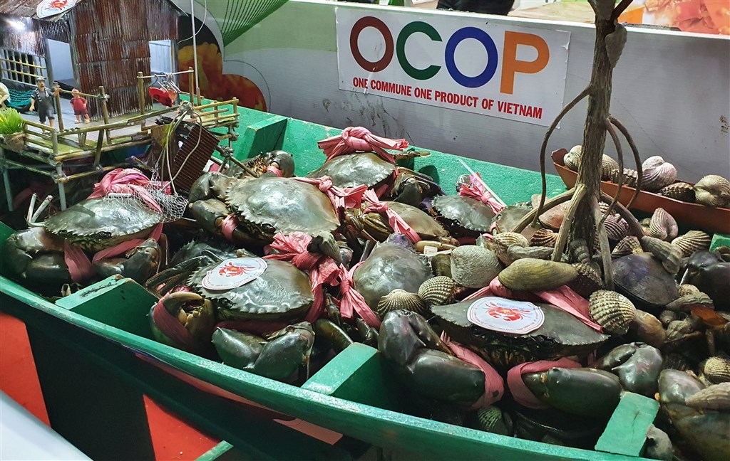 Cà Mau kế hoạch phát triển ngành hàng cua