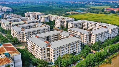 Ảnh minh họa, nguồn internet.