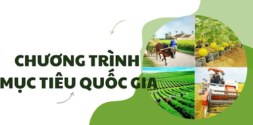 Ảnh báo Lâm Đồng.