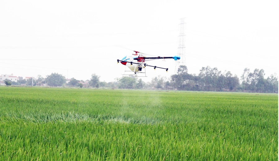 Phấn đấu đến năm 2030, tỷ trọng nông nghiệp ứng dụng công nghệ cao đạt trên 40%