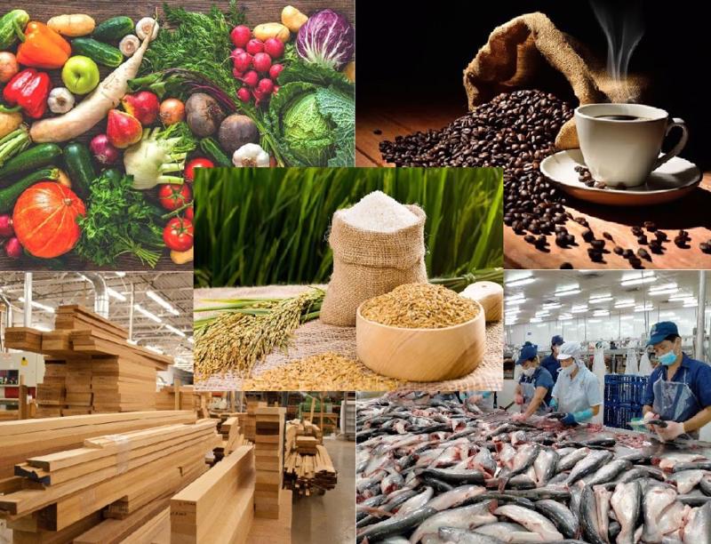 Xuất khẩu nông lâm thủy sản tháng 5/2025 ước đạt 6,28 tỷ USD, tăng 19,6%
