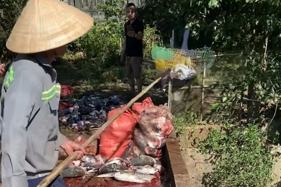 Người dân địa phương đi vớt cá. Người dân địa phương đi vớt cá.