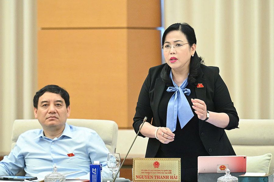 Chủ nhiệm Ủy ban Công tác đại biểu Nguyễn Thanh Hải phát biểu