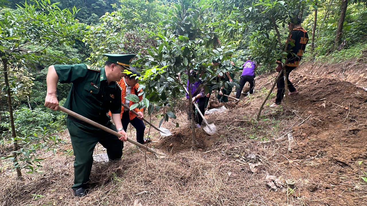 Khi người lính trở thành “kỹ sư nông nghiệp” Khi người lính trở thành “kỹ sư nông nghiệp”