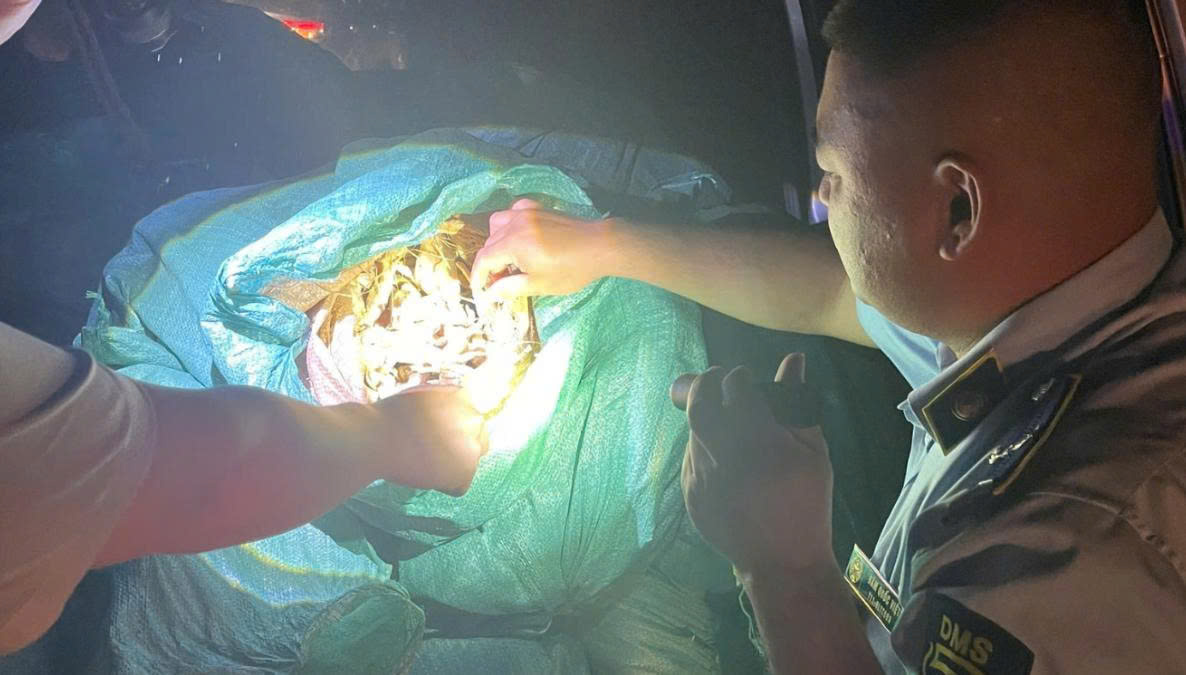 Công chức Chi cục QLTT Cao Bằng tiến hành kiểm tra, xử lý 476 kg chân gà đông lạnh không rõ nguồn gốc, xuất xứ