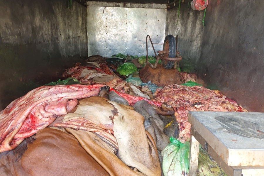 Tổ công tác tiến hành tịch thu toàn bộ số thực phẩm bẩn để xử lý theo quy định pháp luật.