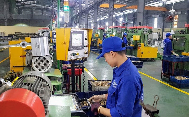 Kinh tế tư nhân, động lực quan trọng của nền kinh tế