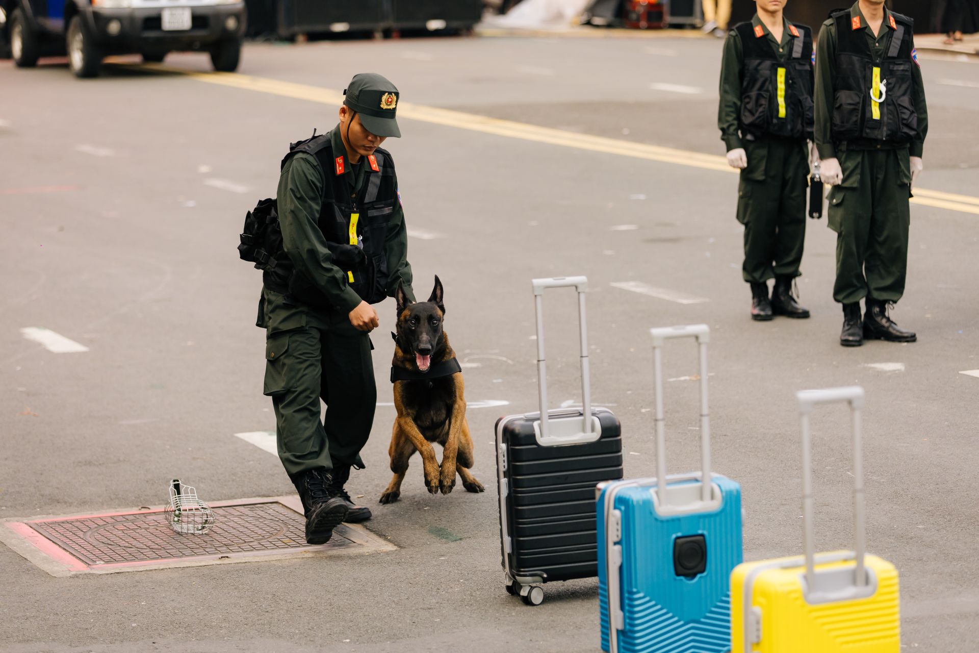 Cảnh khuyển đánh hơi ma túy dưới sự chỉ huy của huấn luyện viên thuộc Bộ Tư lệnh Cảnh sát cơ động