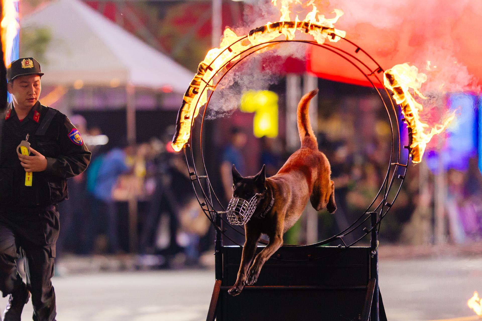 Mãn nhãn tuyệt đối với màn biểu diễn huấn luyện cảnh khuyển trong chương trình ‘Vinh quang Công an nhân dân’