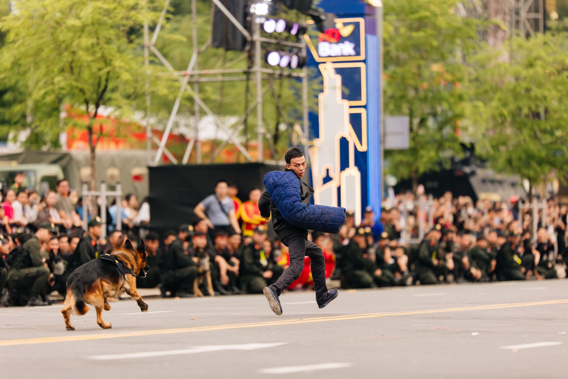 Cảnh khuyển được huấn luyện bài bản để thực hiện nhiều nhiệm vụ quan trọng trong công tác bảo vệ an ninh