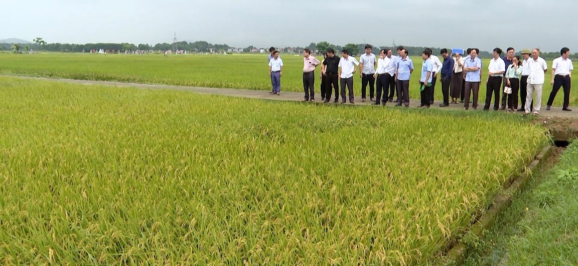Ứng dụng khoa học công nghệ vào sản xuất nông nghiệp giúp tăng năng suất Ứng dụng khoa học công nghệ vào sản xuất nông nghiệp giúp tăng năng suất