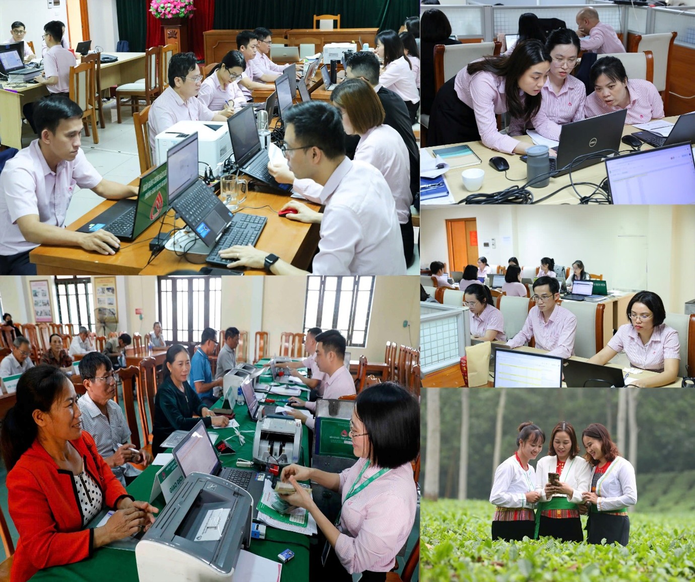 Nghị quyết của Đảng uỷ NHCSXH đề ra những mục tiêu đổi mới cách nghĩ, cách làm, giải phóng năng lực để thúc đẩy đột phá trong phát triển khoa học, công nghệ, đổi mới sáng tạo và chuyển đổi số Ảnh: Hữu Trung