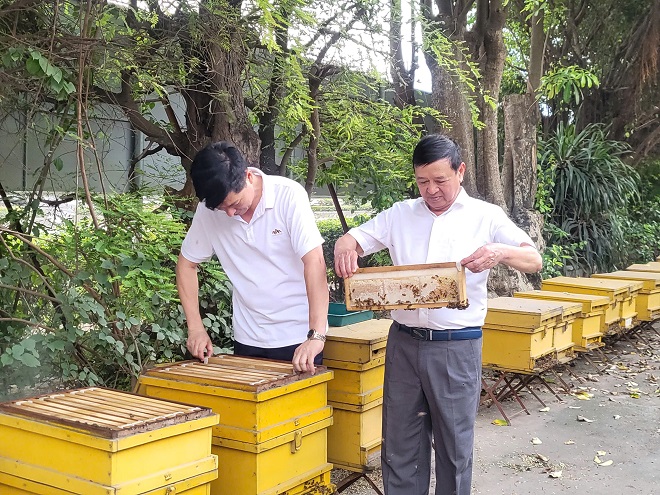 Ông Nguyễn Đăng Sinh CT Hiệp hội chống hàng giả bảo vệ thương hiệu VN đi kiểm tra và thăm quan mô hình nuôi ong của Công ty Ông Nguyễn Đăng Sinh CT Hiệp hội chống hàng giả bảo vệ thương hiệu VN đi kiểm tra và thăm quan mô hình nuôi ong của Công ty