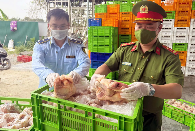 QLTT Hà Nội phát hiện một lượng lớn thịt gà đông lạnh không có giấy tờ chứng minh nguồn gốc xuất xứ tại Công ty TNHH Xuất nhập khẩu và thương mại thực phẩm Xuân Thắng (thôn Hà Vỹ, xã Lê Lợi, huyện Thường Tín). Ảnh: Hoài Nam QLTT Hà Nội phát hiện một lượng lớn thịt gà đông lạnh không có giấy tờ chứng minh nguồn gốc xuất xứ tại Công ty TNHH Xuất nhập khẩu và thương mại thực phẩm Xuân Thắng (thôn Hà Vỹ, xã Lê Lợi, huyện Thường Tín). Ảnh: Hoài Nam