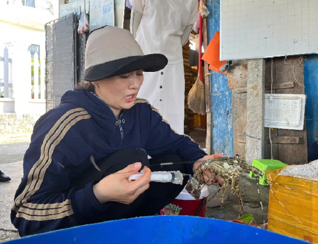 Chủ cơ sở kinh doanh “thị phạm” lại việc bơm tạp chất vào Tôm hùm. Ảnh: PY Chủ cơ sở kinh doanh “thị phạm” lại việc bơm tạp chất vào Tôm hùm. Ảnh: PY