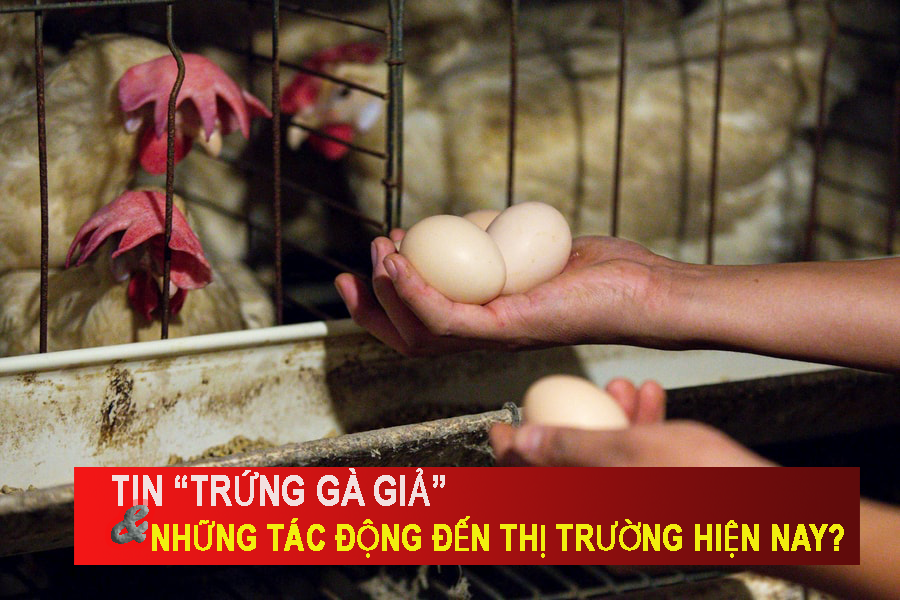 Tin “trứng gà giả” và những tác động đến thị trường hiện nay?