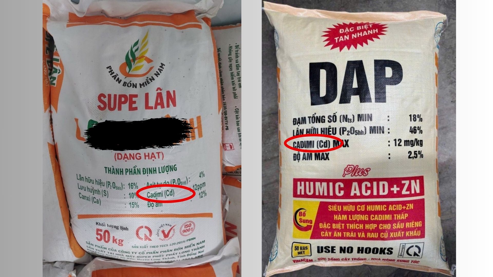 Bài 2: Người trồng sầu riêng không biết chất vàng O và Cadimi là chất gì