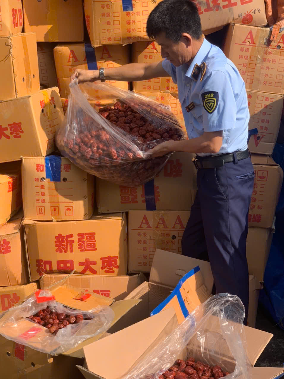 Hà Nội: Tạm giữ 4,3 tấn táo đỏ nhập lậu, không đảm bảo an toàn thực phẩm Hà Nội: Tạm giữ 4,3 tấn táo đỏ nhập lậu, không đảm bảo an toàn thực phẩm