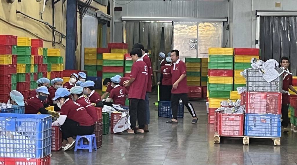 Long An tăng cường quản lý mã số vùng trồng và mã số cơ sở đóng gói phục vụ xuất khẩu