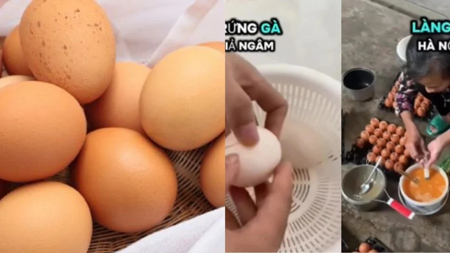 Tin đồn trứng gà giả gây xôn xao.
