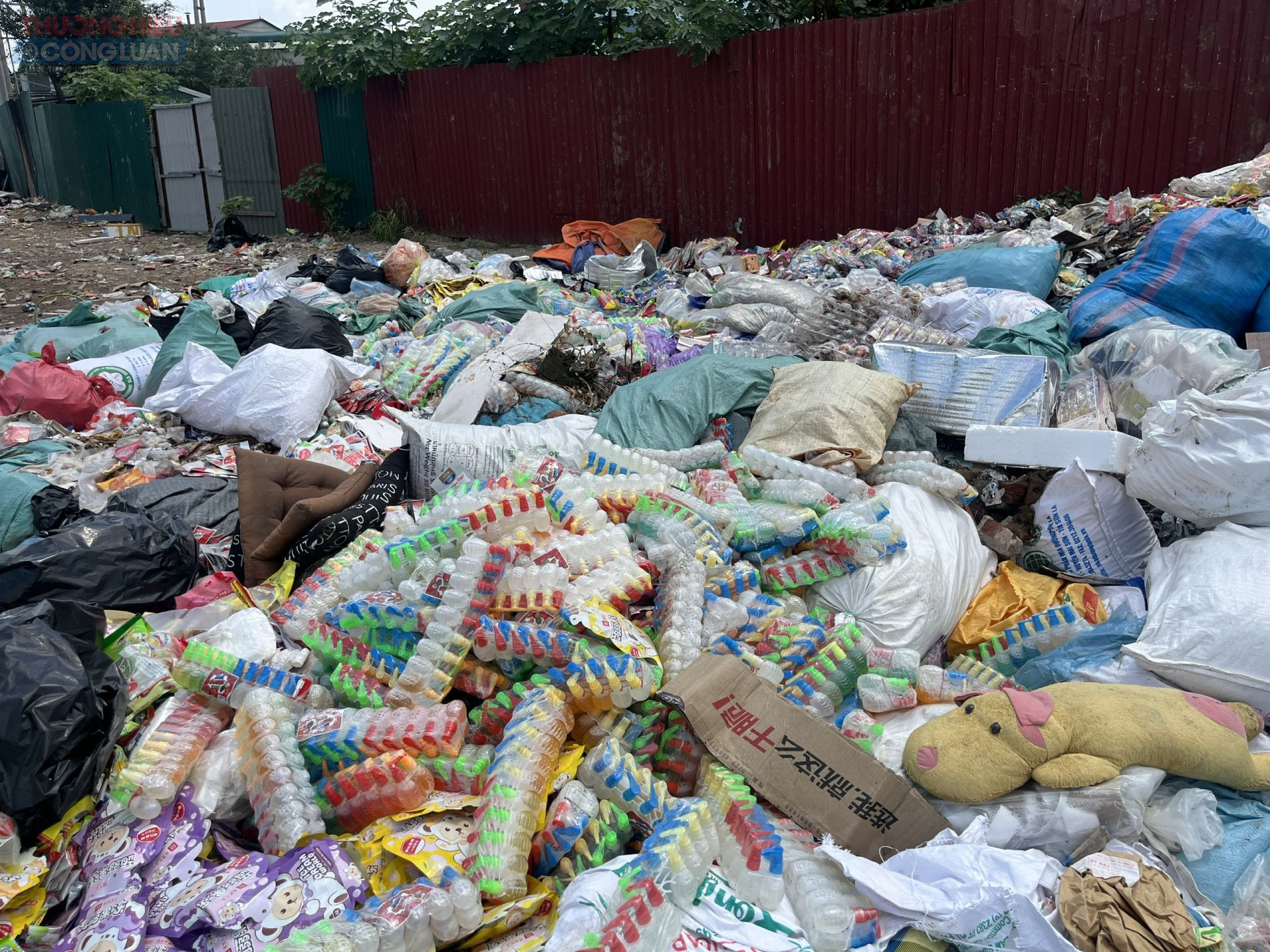 Nhiều sản phẩm còn nguyên bao bì, thùng hộp, nhưng phần lớn đã hết hạn sử dụng từ năm 2024.