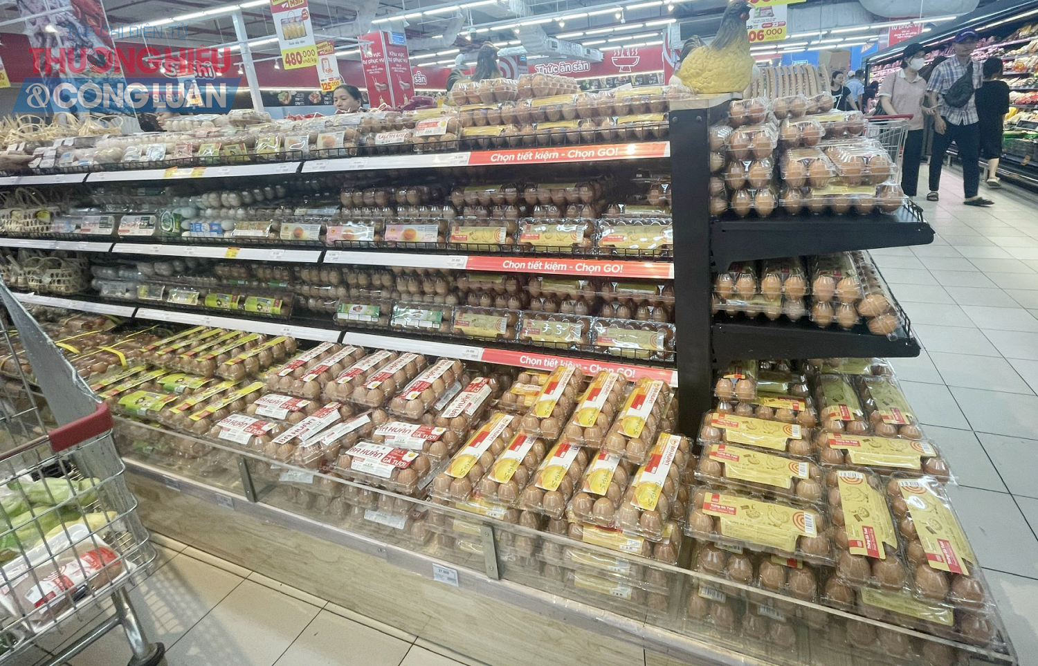 Tại siêu thị GO! Thăng Long, trứng gà có giá dao động từ 26.000 đồng/chục – 74.000 đồng/12 quả