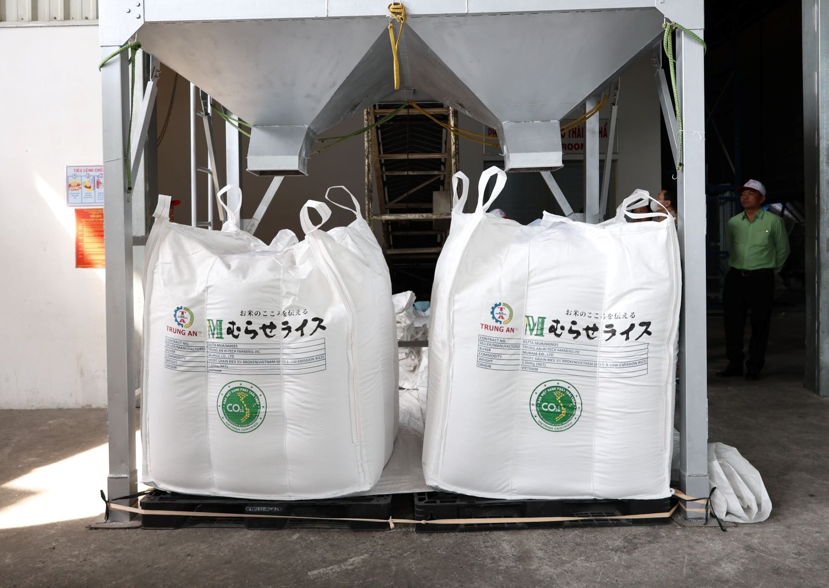 "Gạo Việt xanh phát thải thấp" có lô go để nhận diện với các loại gạo khác trên thị trường.