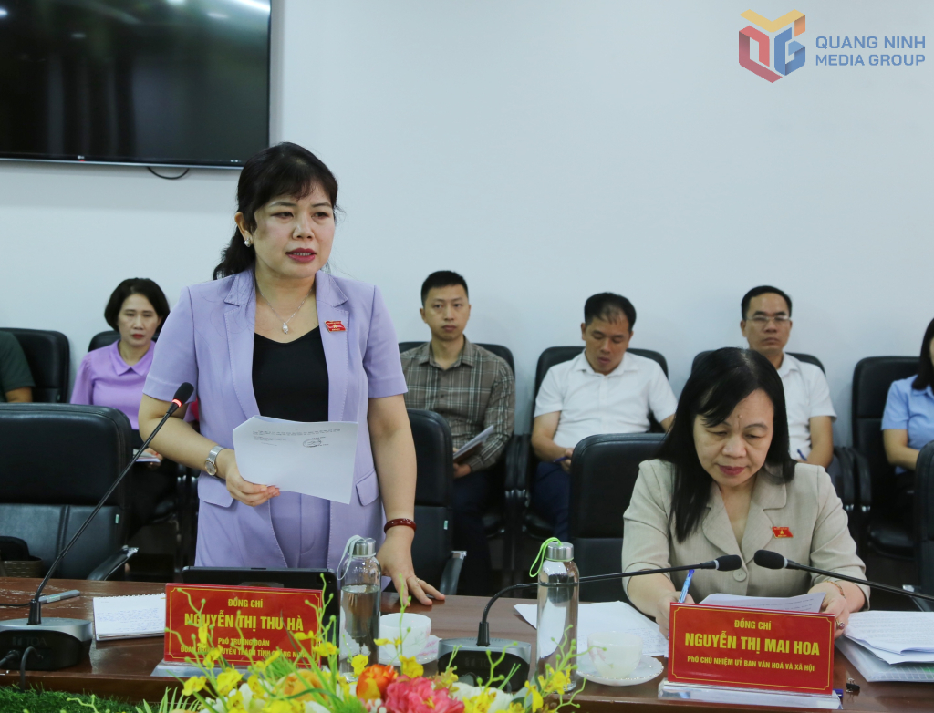 Nguyễn Thị Thu Hà, Phó Trưởng Đoàn ĐBQH tỉnh, phát biểu tại buổi làm việc.