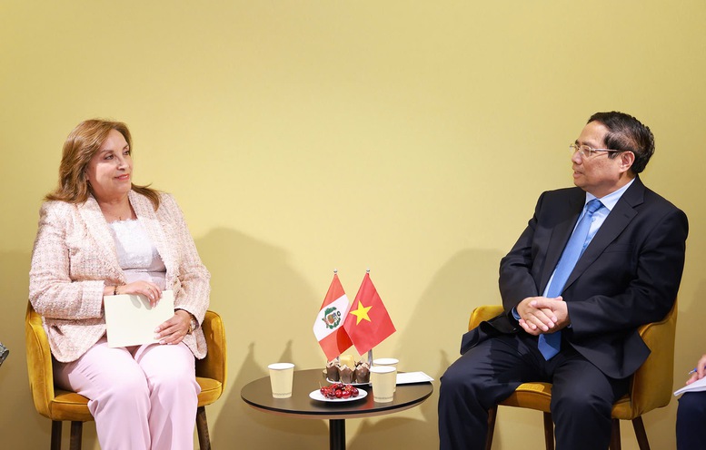 Tổng thống Peru: Việt Nam luôn là đối tác quan trọng hàng đầu ở khu vực