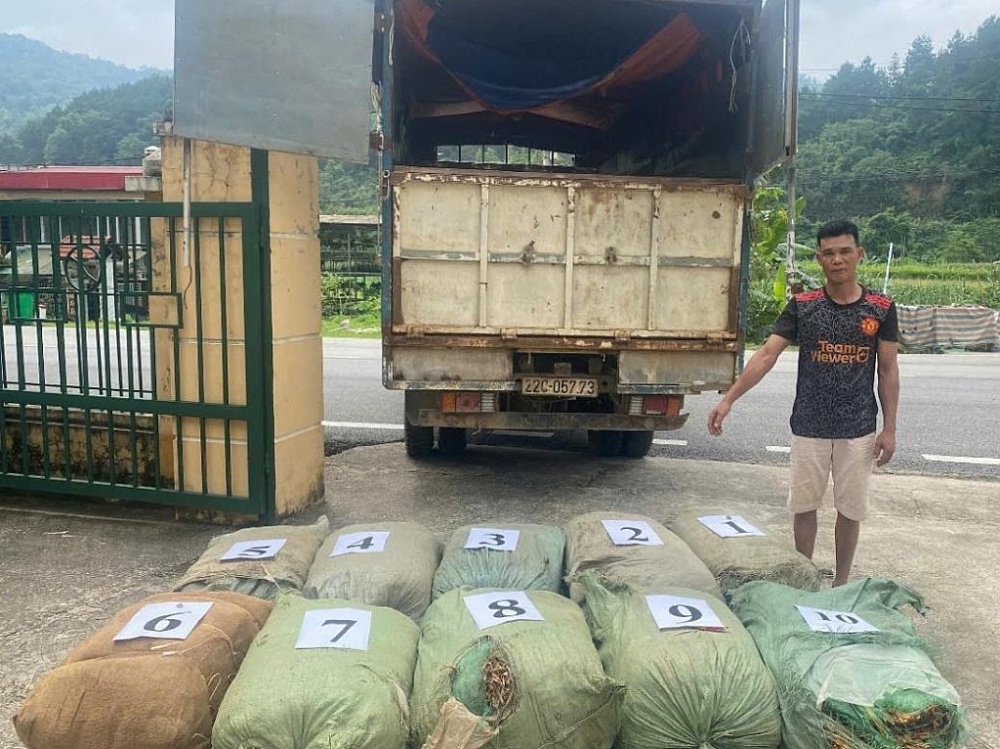 Cao Bằng: Liên tiếp phát hiện, bắt giữ nhiều vụ vận chuyển nguyên liệu thuốc lá không rõ nguồn gốc