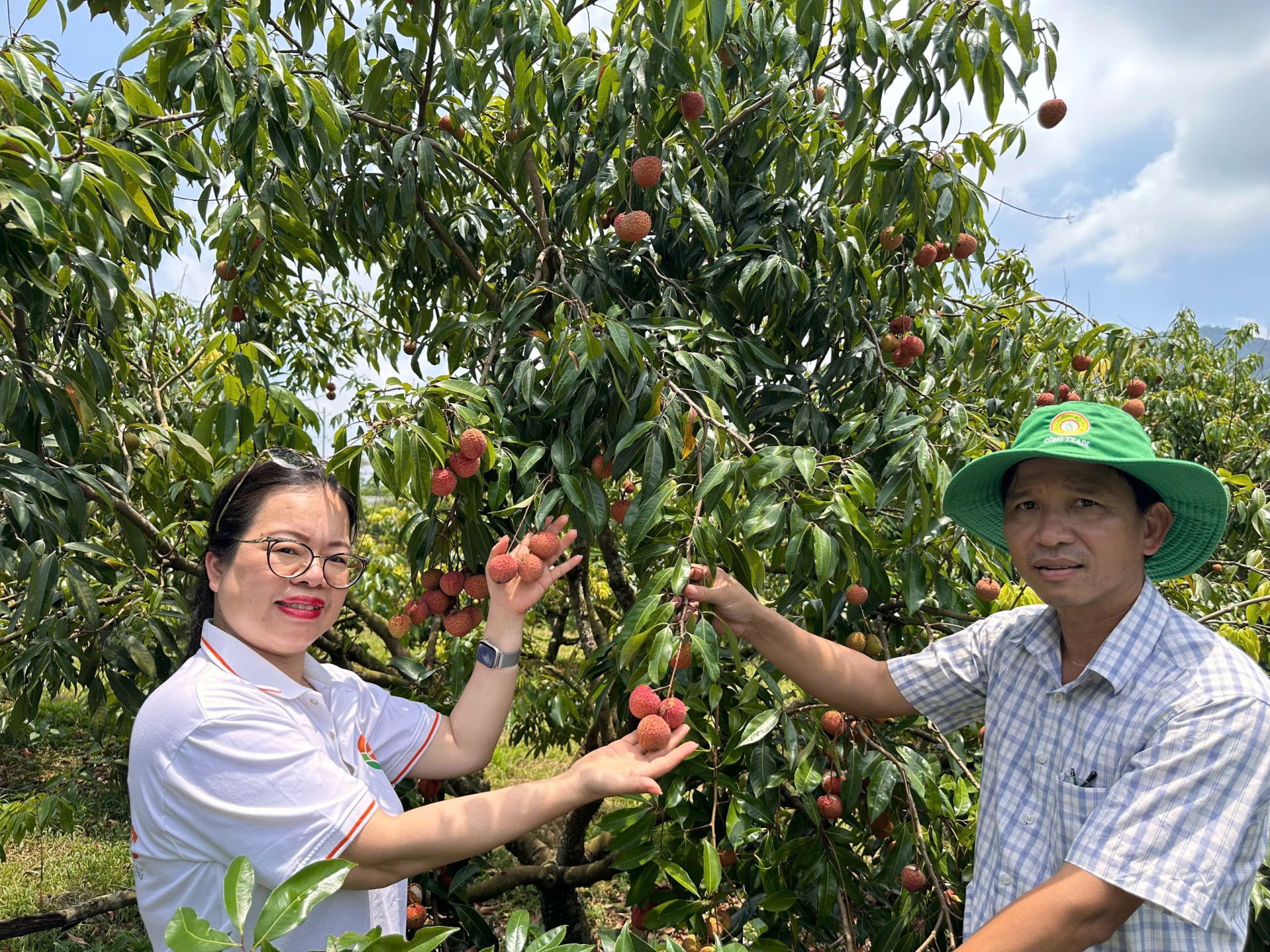 Nữ CEO KhimFood chụp ảnh tại vườn vải ngọc không hạt tại Thanh Hoá Nữ CEO KhimFood chụp ảnh tại vườn vải ngọc không hạt tại Thanh Hoá