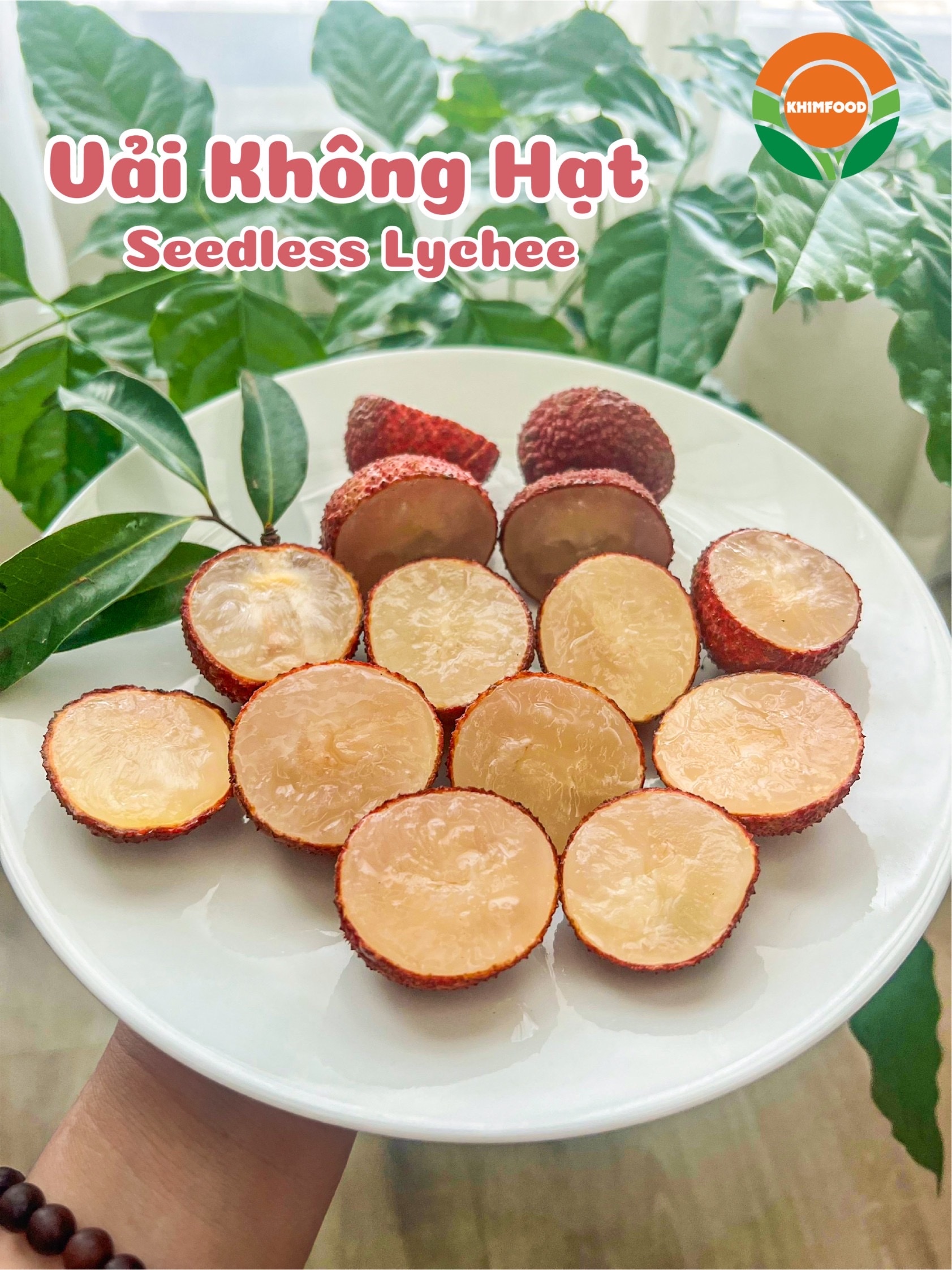 Khimfood tự hào là đơn vị hợp tác phân phối trực tiếp sản phẩm của Nông Trường Sông Âm, Ngọc lặc , Thanh Hóa. Chúng tôi là đơn vị phân phối Vải không hạt Thanh Hóa tại thị trường Miền Bắc. Khimfood tự hào là đơn vị hợp tác phân phối trực tiếp sản phẩm của Nông Trường Sông Âm, Ngọc lặc , Thanh Hóa. Chúng tôi là đơn vị phân phối Vải không hạt Thanh Hóa tại thị trường Miền Bắc.