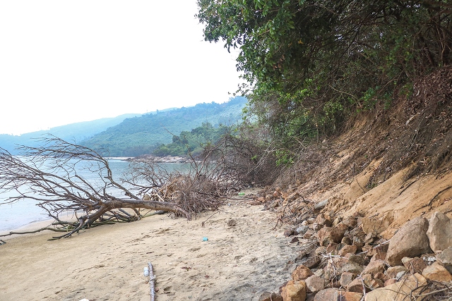 Tình trạng sạt lở bờ biển nghiêm trọng, đe dọa đến sự an toàn và tính nguyên trạng của di tích Trạm Nam Chơn Tình trạng sạt lở bờ biển nghiêm trọng, đe dọa đến sự an toàn và tính nguyên trạng của di tích Trạm Nam Chơn